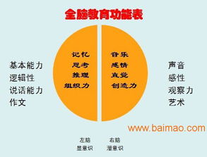 山東臨沂與臨沭全腦開發(fā)服務(wù) 可靠提供商、廠家與價格咨詢指南